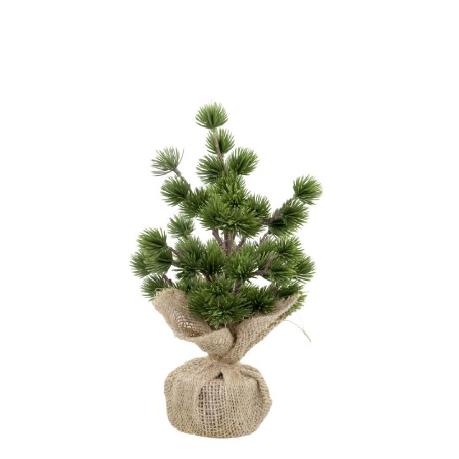 Malý zelený cédrový stromček v jute 20 cm