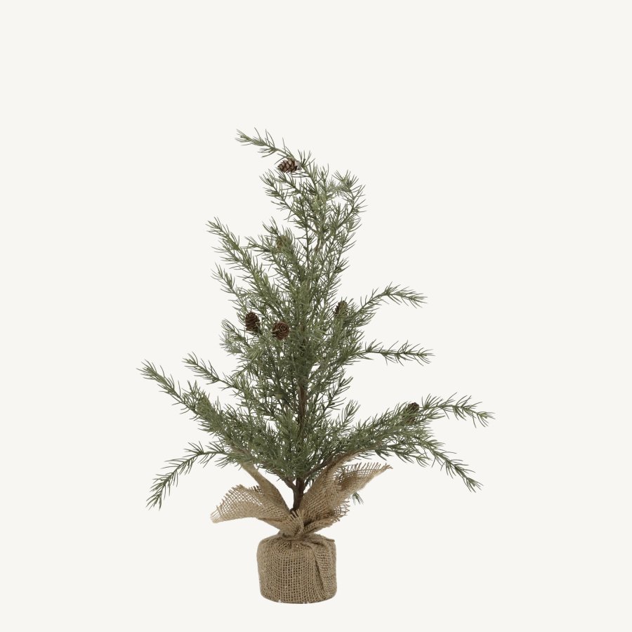 Cédrový stromček 60cm