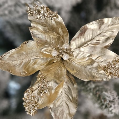 Vianočná ruža zlatá na štipci 22 cm