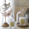 Difuzér Mimosa Joli, 90 ml