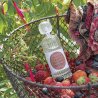 Parfém na textil - Fruits des bois